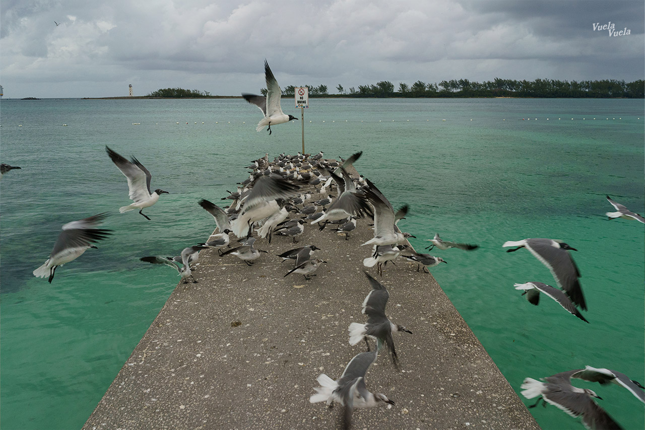 Bahamas, Nassau