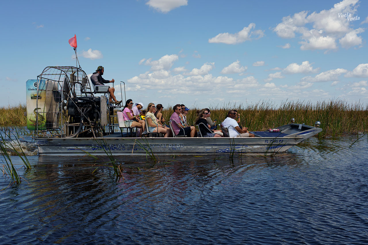 Sawgrass Everglades Florida