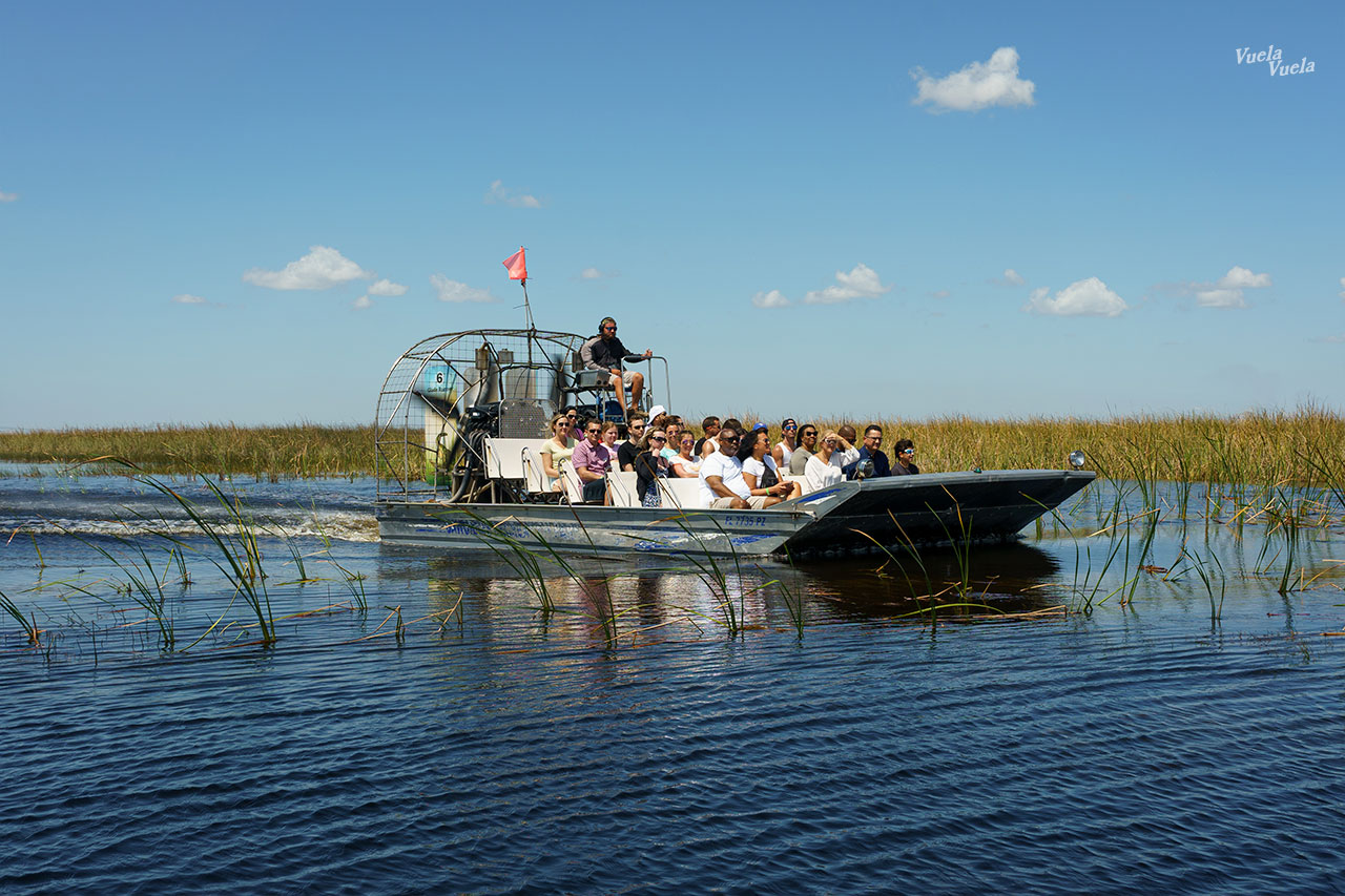 Sawgrass Everglades Florida