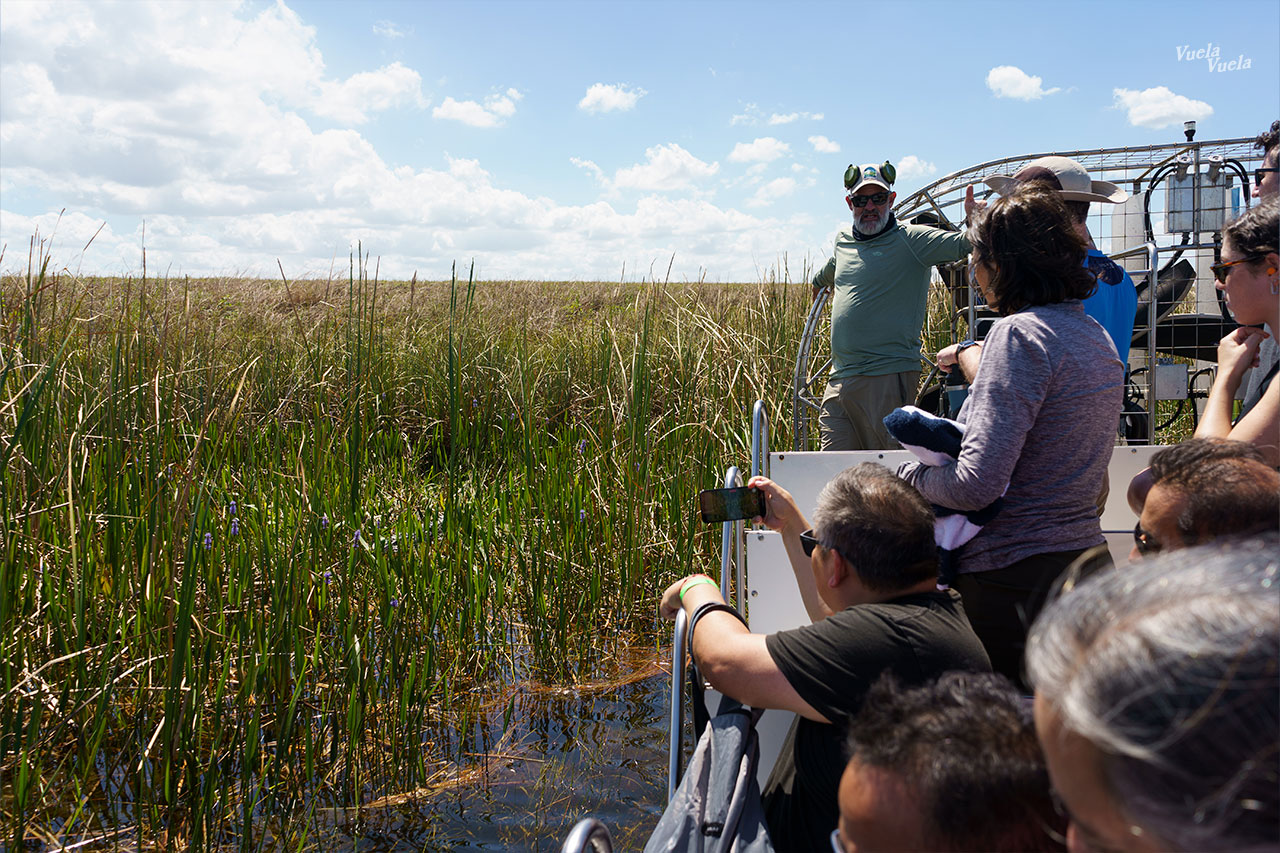 Sawgrass Everglades Florida