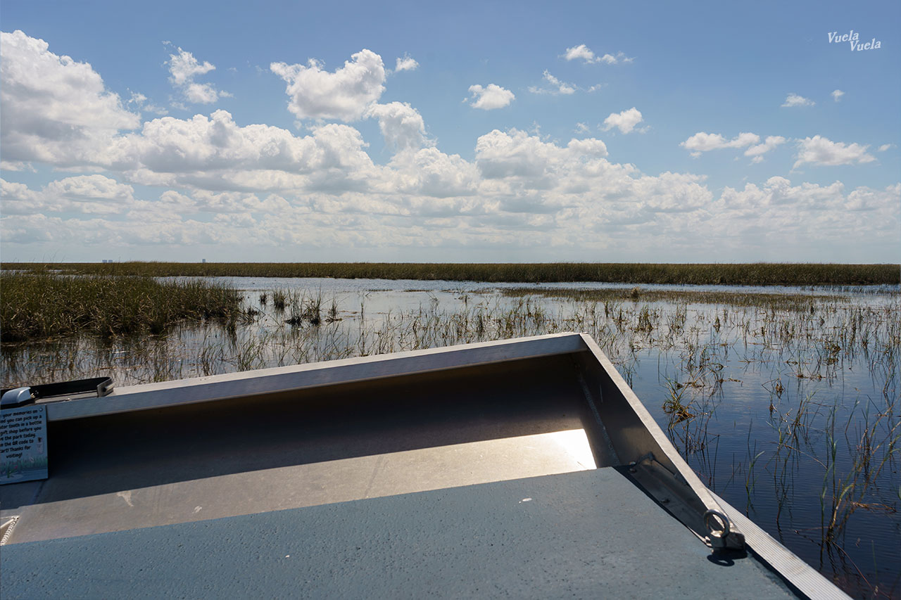 Sawgrass Everglades Florida