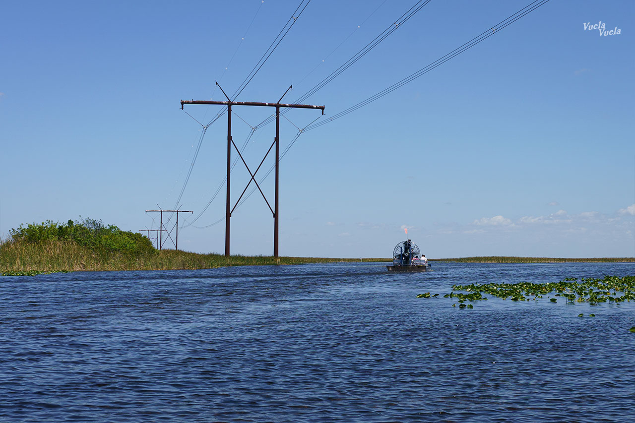 Sawgrass Everglades Florida