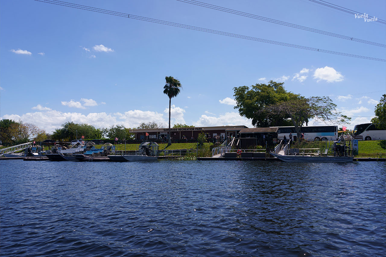 Sawgrass Everglades Florida
