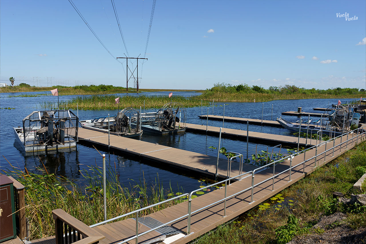 Sawgrass Everglades Florida