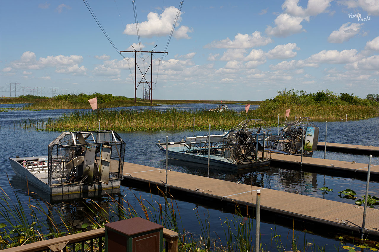 Sawgrass Everglades Florida
