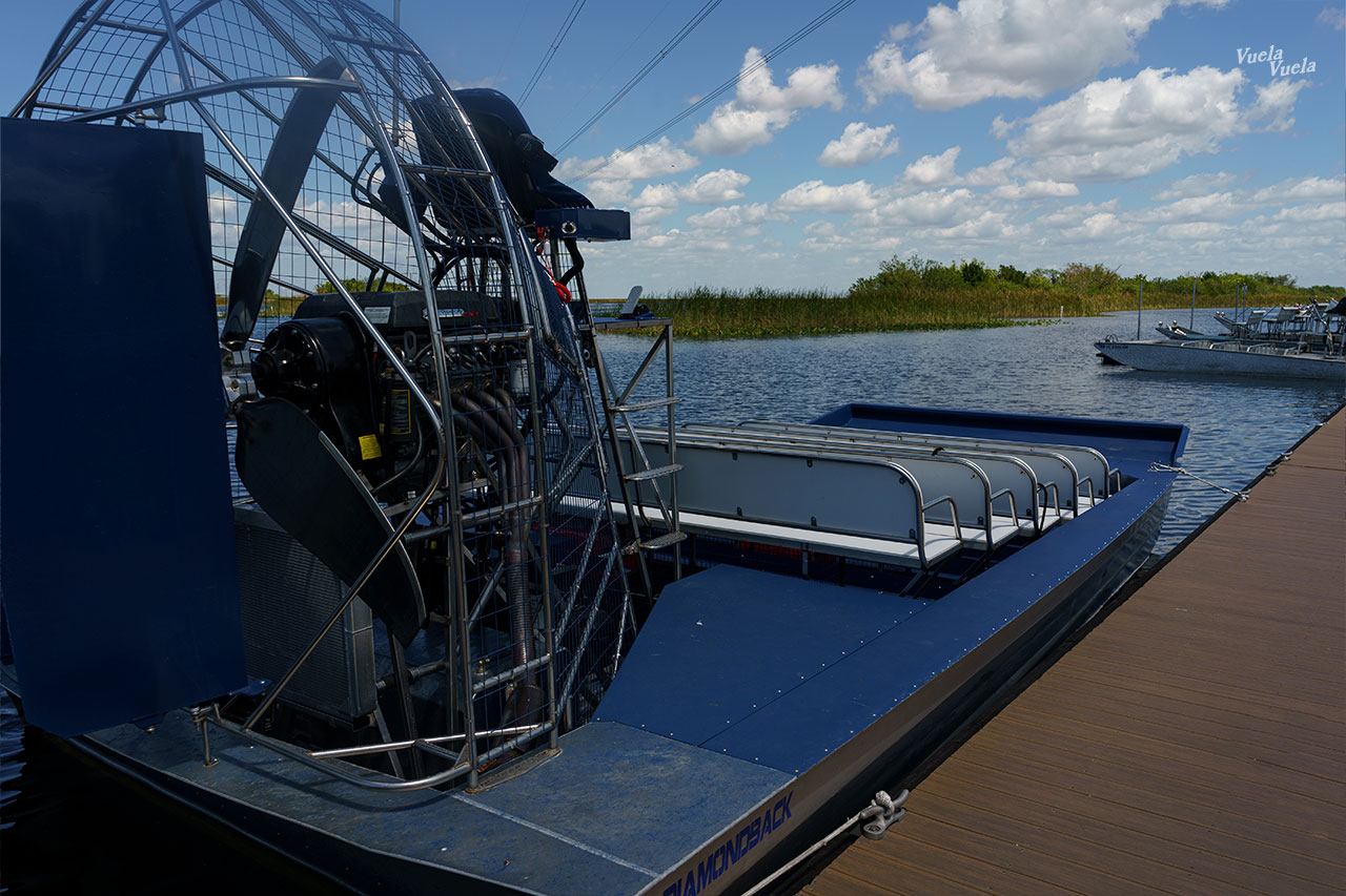 Sawgrass Everglades Florida