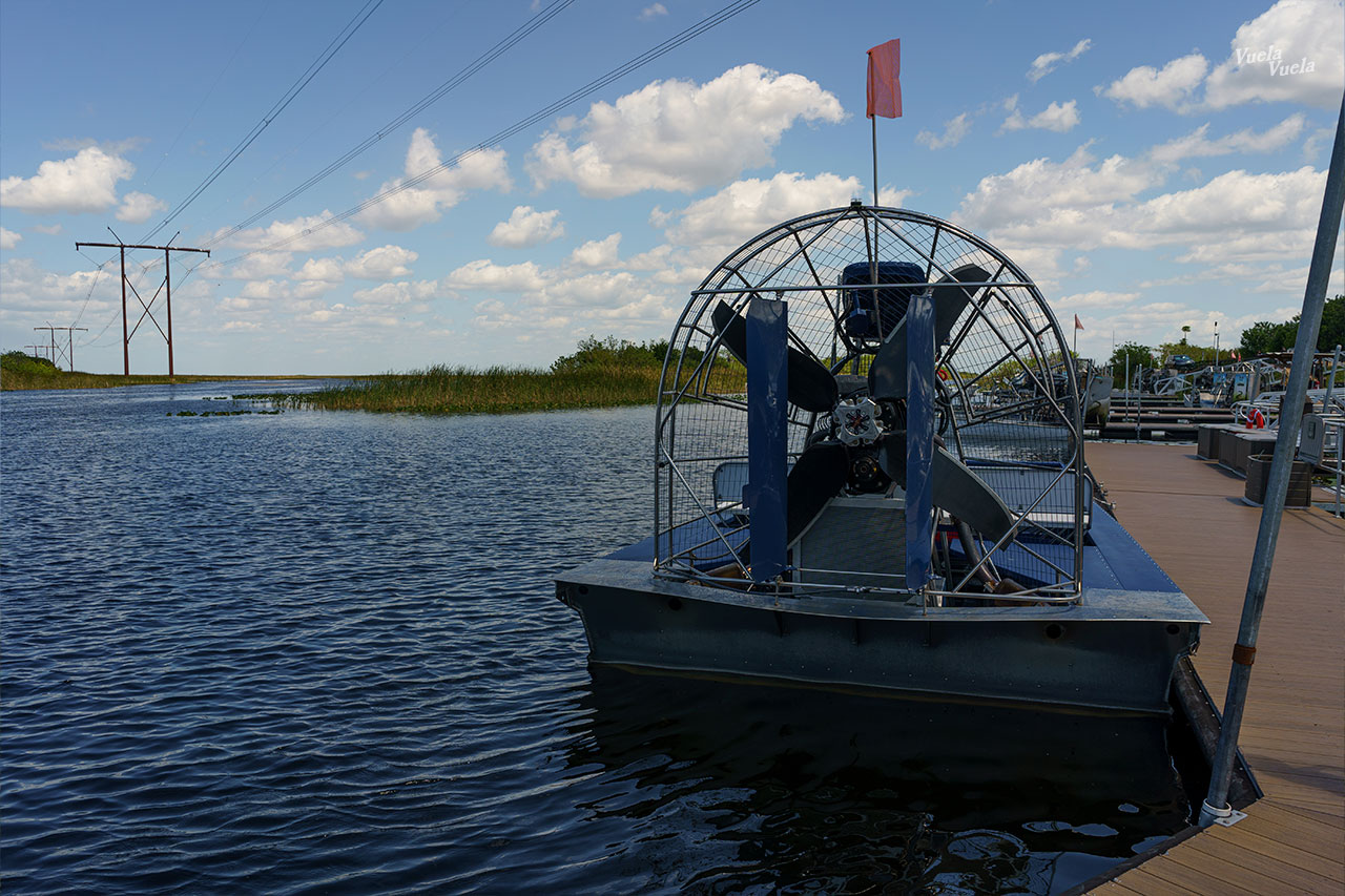 Sawgrass Everglades Florida