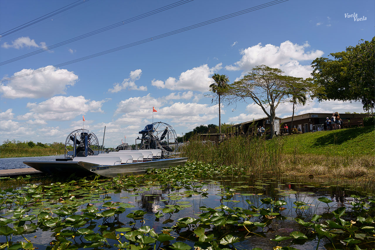 Sawgrass Everglades Florida