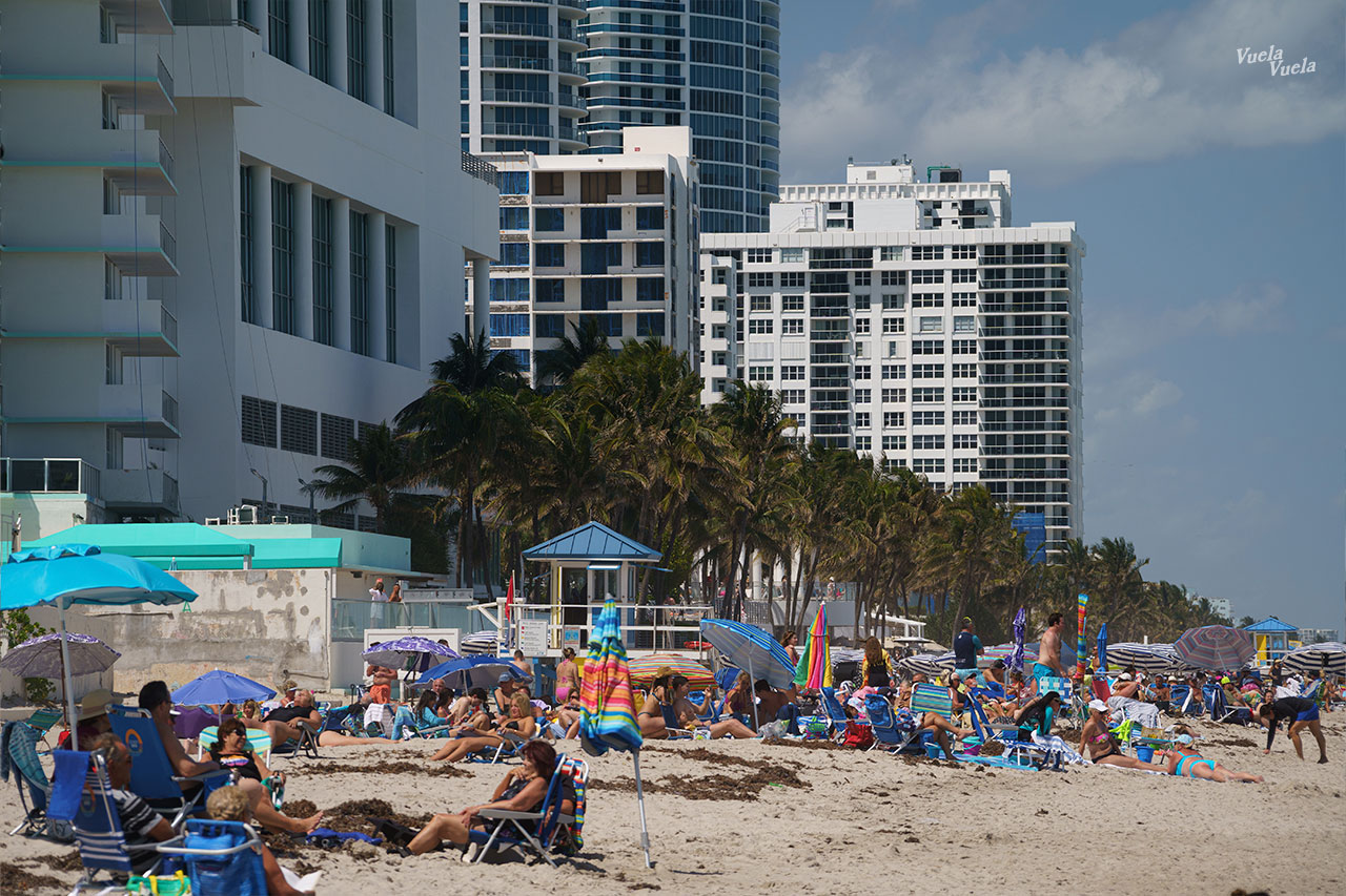 Hallandale Beach North Miami
