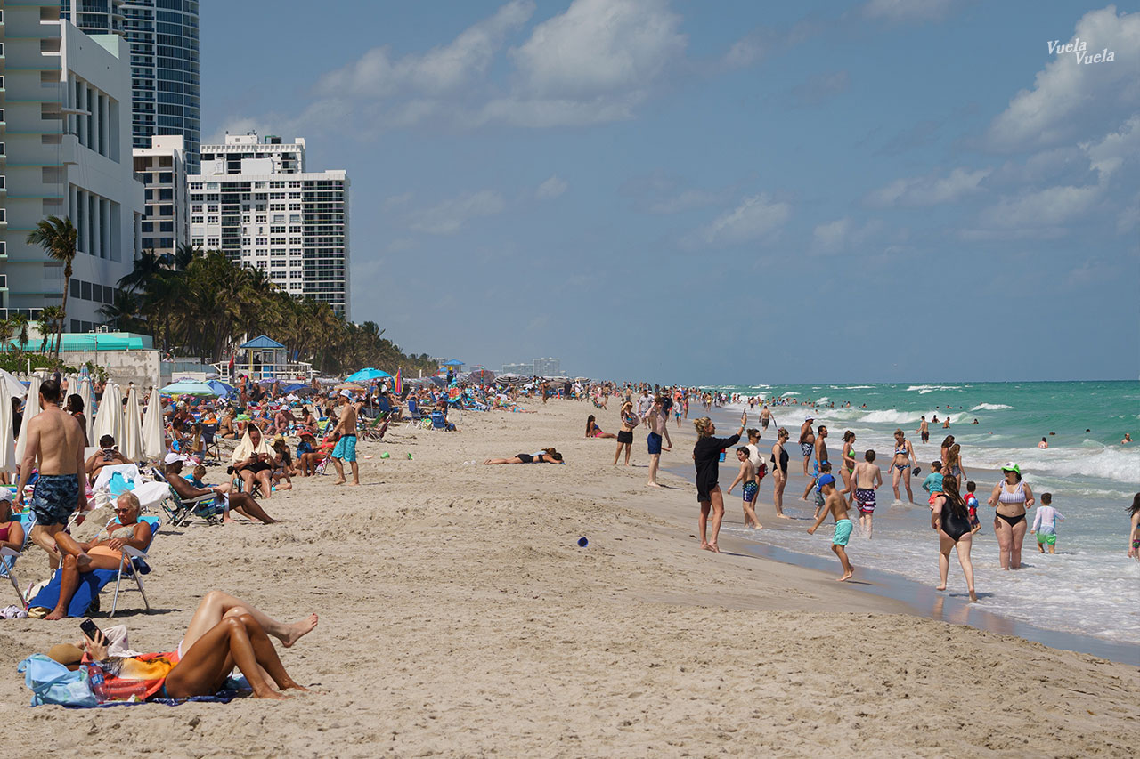 Hallandale Beach North Miami