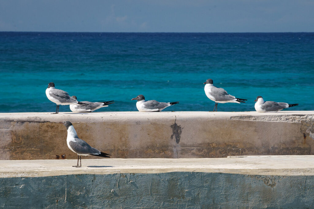 Bahamas